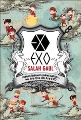 EXO Salah Gaul